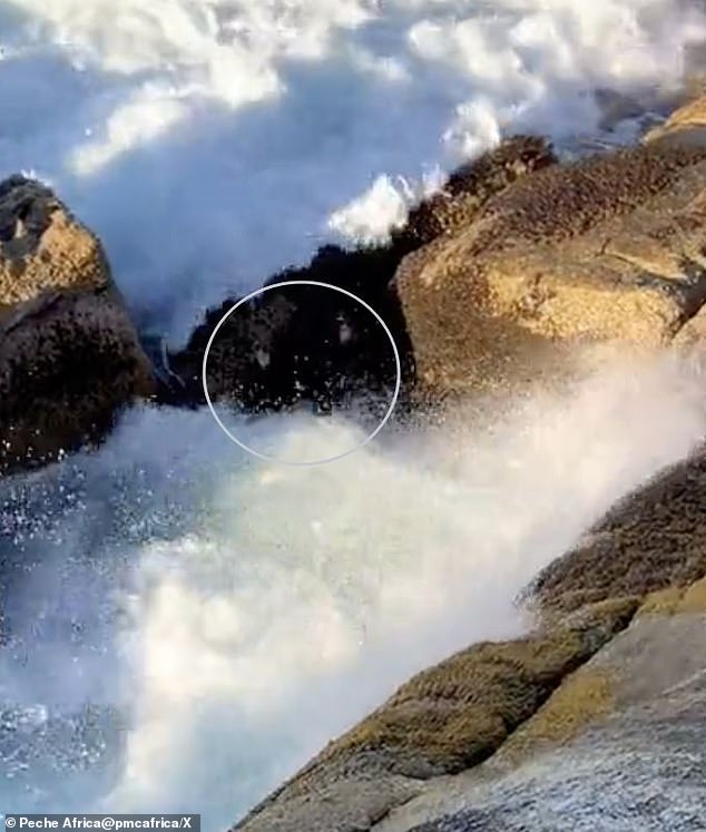 He can be seen by his friends filming the drama on a mobile phone as he tries to return to the safety of the rocks from Llandudno's relentless sea currents.