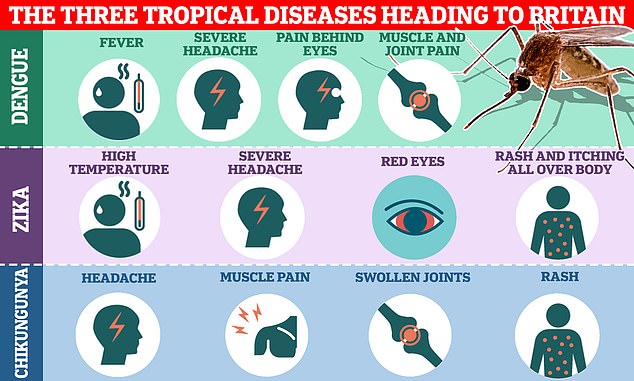 Three tropical diseases will emerge in Britain this century due to climate change, health chiefs have warned.  Dengue, Zika and Chikungunya can cause mild illness, resulting in headaches, muscle aches and rashes