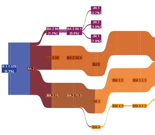 The graph shows the Covid lineage observed in Britain between June and November this year.  JN.1 was behind 7.9 percent of cases last month (shown in chart).  It is a spin-off of BA.2.86, known as Pirola