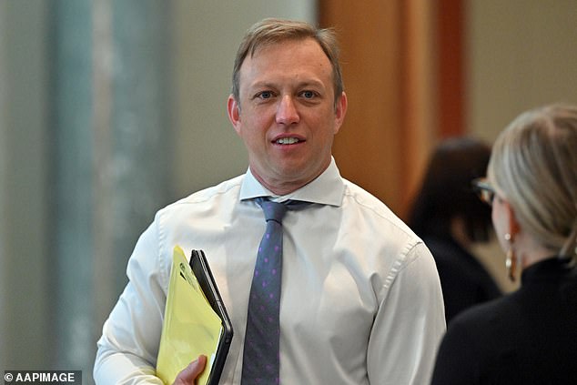 Annastacia Palaszczuk has backed her deputy Steven Miles (pictured) as Queensland's next Premier following her shock resignation