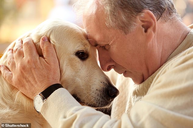 Owning a dog can reduce the risk of developing dementia by 40 percent, researchers in Japan report (stock image)