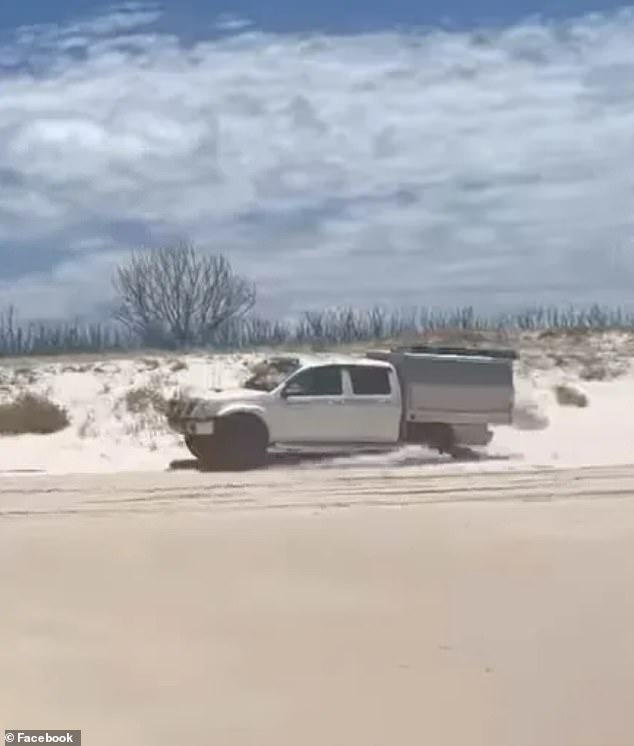 The video showed the driver of the 4WD getting close to sand dune plants and grass, occasionally swerving