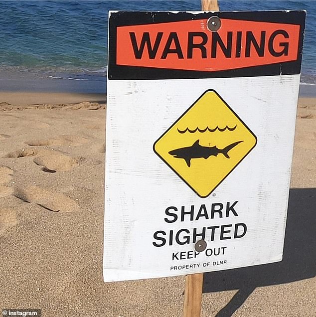 Shark warning signs were placed a mile in both directions from the incident site