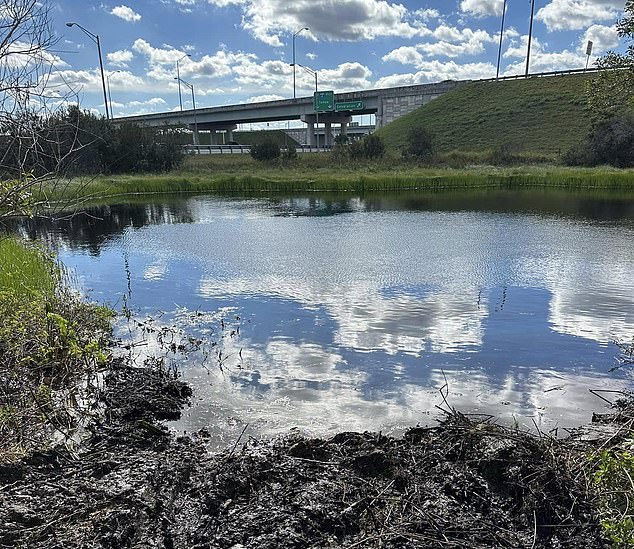 Assisted by local police, the search and rescue team recovered the van from a pond near the Disney World exit on Interstate 4