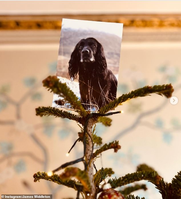 The entrepreneur revealed that there is an air of sadness about the festivities following the death of his beloved dog Ella, who has taken a place of honor atop the Christmas tree