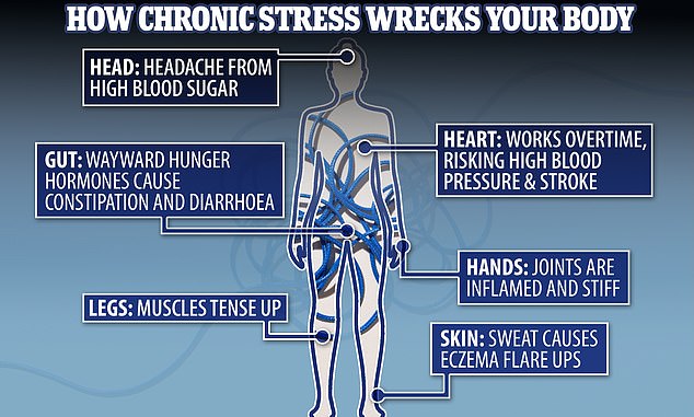 1704118051 590 Experts reveal the alarming effect of STRESS on every part