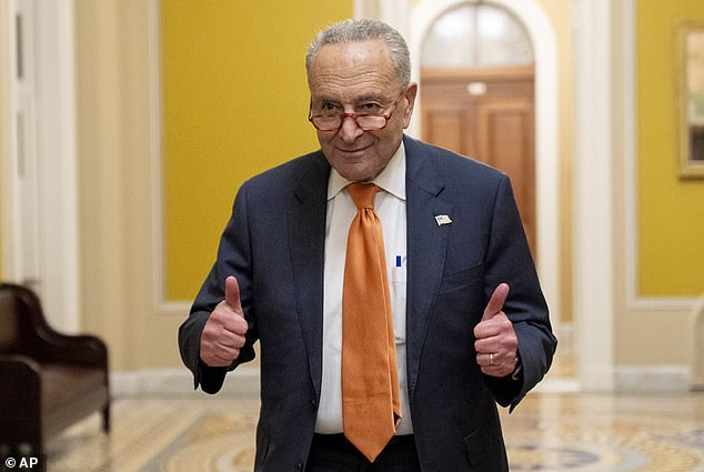 Senate Majority Leader Chuck Schumer is leading the negotiations for the Democrats