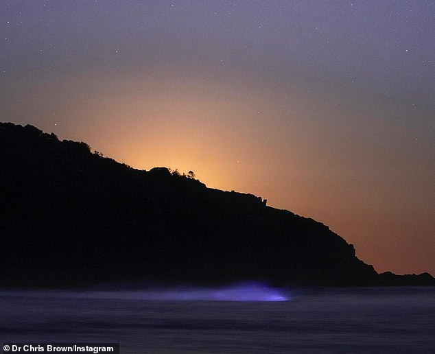 Dr.  Chris took this photo of the 'creepy' blue light in the surf and shared it on his Instagram - the all-natural event is caused by bioluminescence - algae in the water