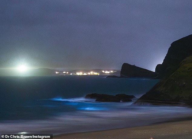 “That eerie blue light glowing from the ocean is bioluminescence.  A bright light produced by a tiny algae in the water,” he explained