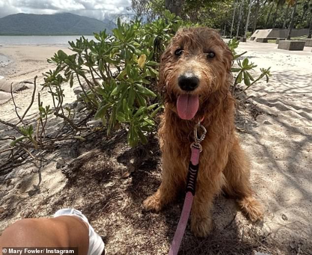 The Matildas star's dog featured in the series of holiday snaps she showed off to her Instagram followers on Tuesday