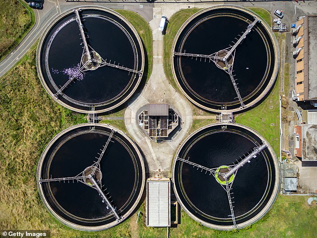 UK wastewater treatment centers, such as this treatment plant in Darftford, cannot meet the necessary demand, and Firefly Green Fuels says producing jet fuel could be a good alternative (stock image)