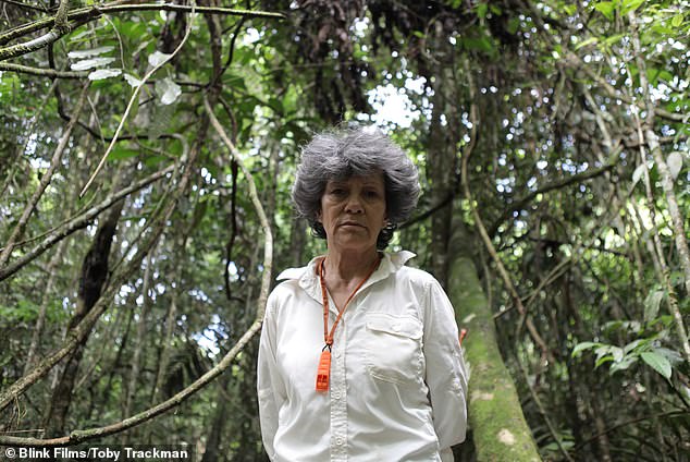 Chapman claimed the monkeys in Colombia helped her survive after she was abandoned in the rainforest by kidnappers who botched her kidnapping