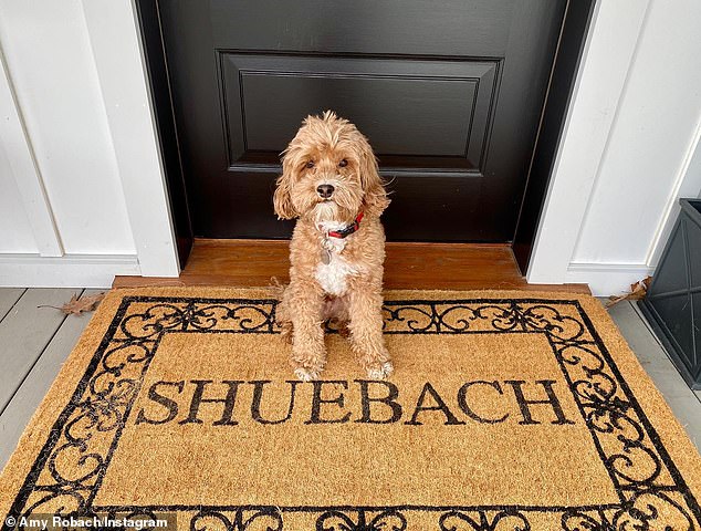 Amy and the 56-year-old Melrose Place alum still share custody of their nine-year-old Maltipoo, Brody (pictured in 2020), but it's unclear how the rest of their property and assets were divided