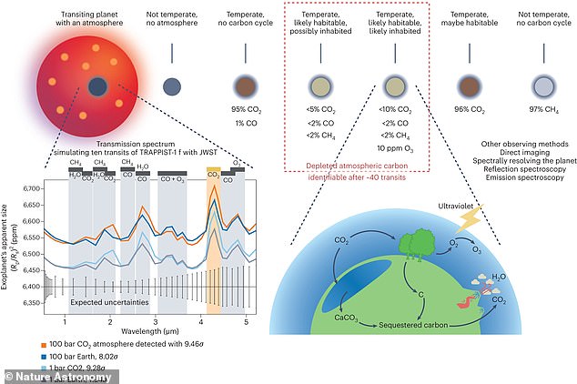 A team from the University of Birmingham and MIT believes that distant worlds with low carbon dioxide levels may mean they are inhabited.