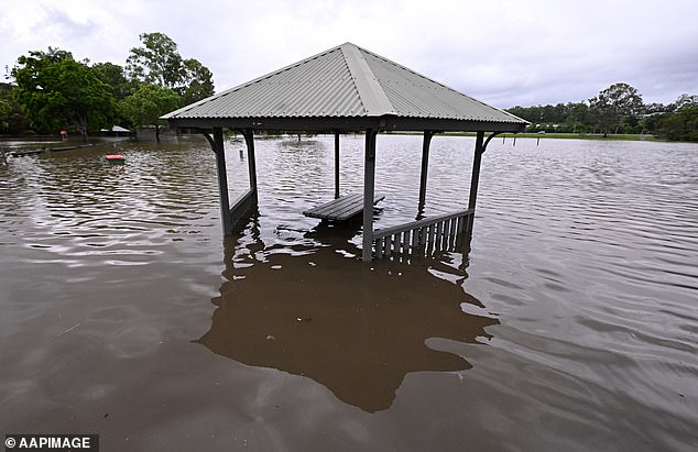 Areas such as Gympie, Caboolture, Noosa Heads and Maroochydore are expected to experience high localized waterfalls on Wednesday (pictured, an underwater park at Mudgeeraba)