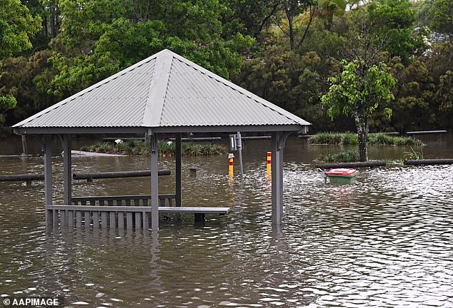 Hundreds of flood-damaged roads in Queensland also remain closed and persistent heavy rain means a higher chance of landslides and fallen debris (pictured, a park in Mudgeeraba)