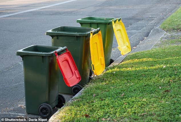 The Australian admitted that they had decided to throw a large cardboard box and a small bag of rubbish into the neighbour's empty bin as theirs was overflowing due to the holidays.  However, the act angered the elderly resident who tackled the 'crime' and now monitors her rubbish bins every week (stock image)