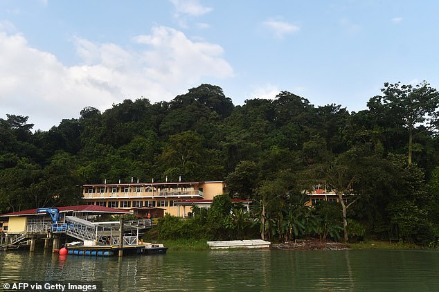 Barro Colorado Island, home of the Smithsonian Tropical Research Institute, is located in the middle of the man-made Gatun Lake.  The island used to be a hilltop, but a lake surrounded it when the Panama Canal was completed more than 100 years ago.