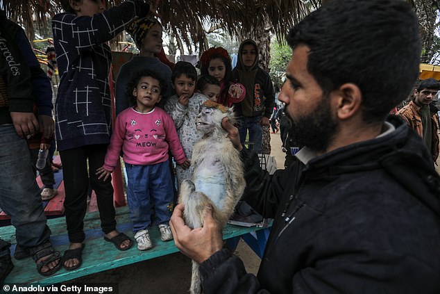 Nearly all of Gaza's 2.3 million residents have been driven from their homes as a result of the Israeli bombardment that has left much of the territory in ruins