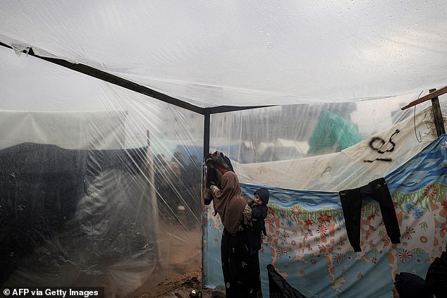 At Rafah Zoo, notorious for its lion declawing and gruesome facilities, a row of plastic tents stood near the animal cages and laundry hung on lines between palm trees.