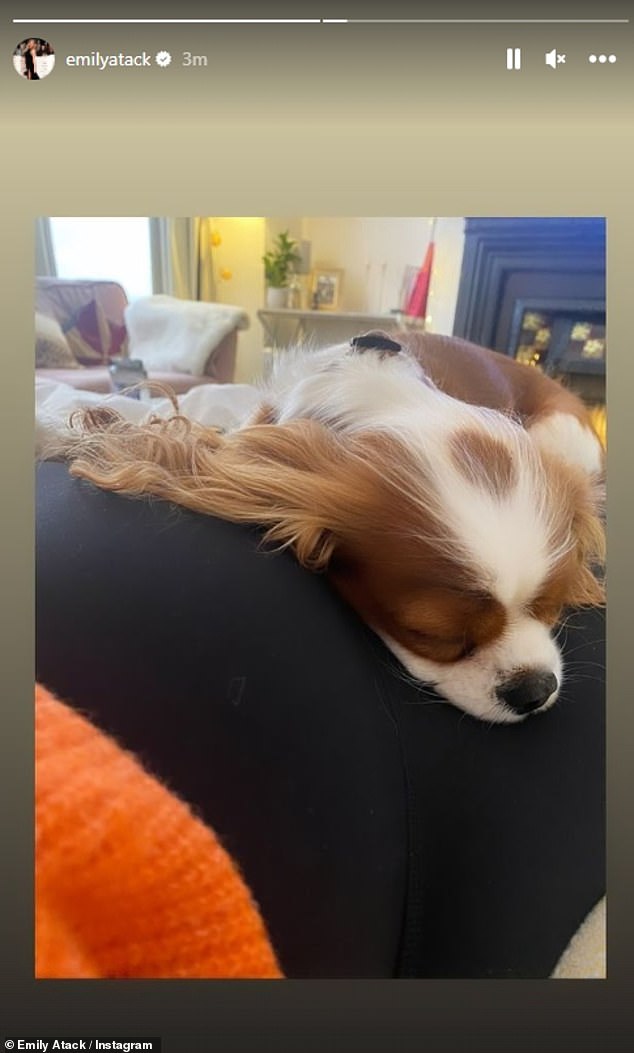 The actress shared a sweet photo of her spaniel Penny resting on her blossoming belly.  Emily said she is stuck at home and feeling very sick