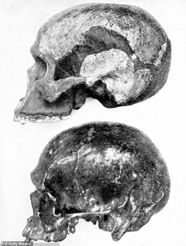 Bone examinations reveal that the same toothpaste was used throughout the specimens to reconstruct human bones and dismember orangutan remains on them