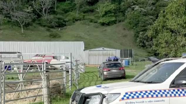 Emergency services, including a RACQ CQ Rescue helicopter, were sent to the property while paramedics performed CPR on the toddler - who could not be revived