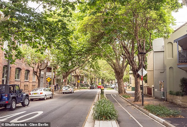 Surry Hills recorded 1,414 offences, including 443 non-domestic assaults (pictured, Bourke Street, Surry Hills)