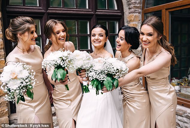 When the bride chose a bridesmaid dress that the sister-in-law didn't like, the bridesmaid flew into a rage (stock image)