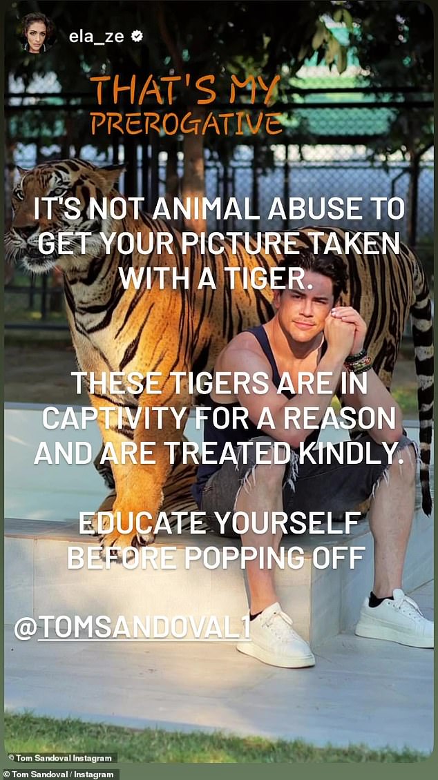 Seemingly in response to the backlash, Sandoval, 40, also took to his social media on the same day with his own response to the people who were angry with him.  The drama all goes back to his Instagram post from the day before, in which he visited a tiger zoo and posed with one of the captured apex predators.