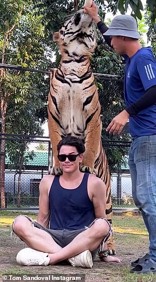 He earlier showed photos and videos of him meeting a tiger on Tuesday