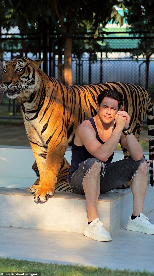 He also snapped a photo of himself sitting down as two of the enormous animals lounged next to him