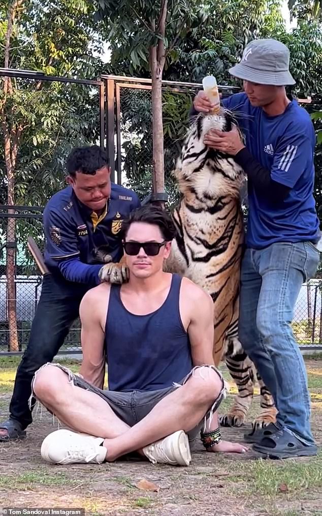 He then posted a video of the sanctuary staff holding up a bottle so that the tiger would put both paws on his shoulders.