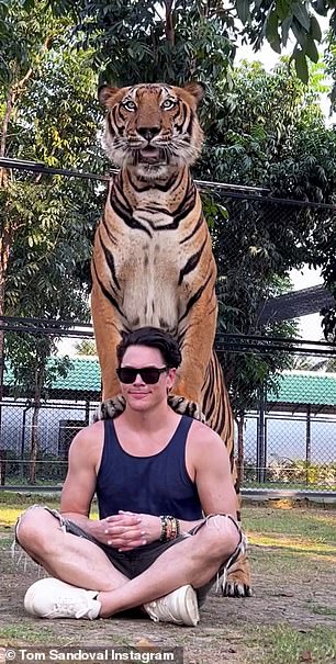 He was seen grinning slyly for a photo as the tiger pressed his two paws behind his back