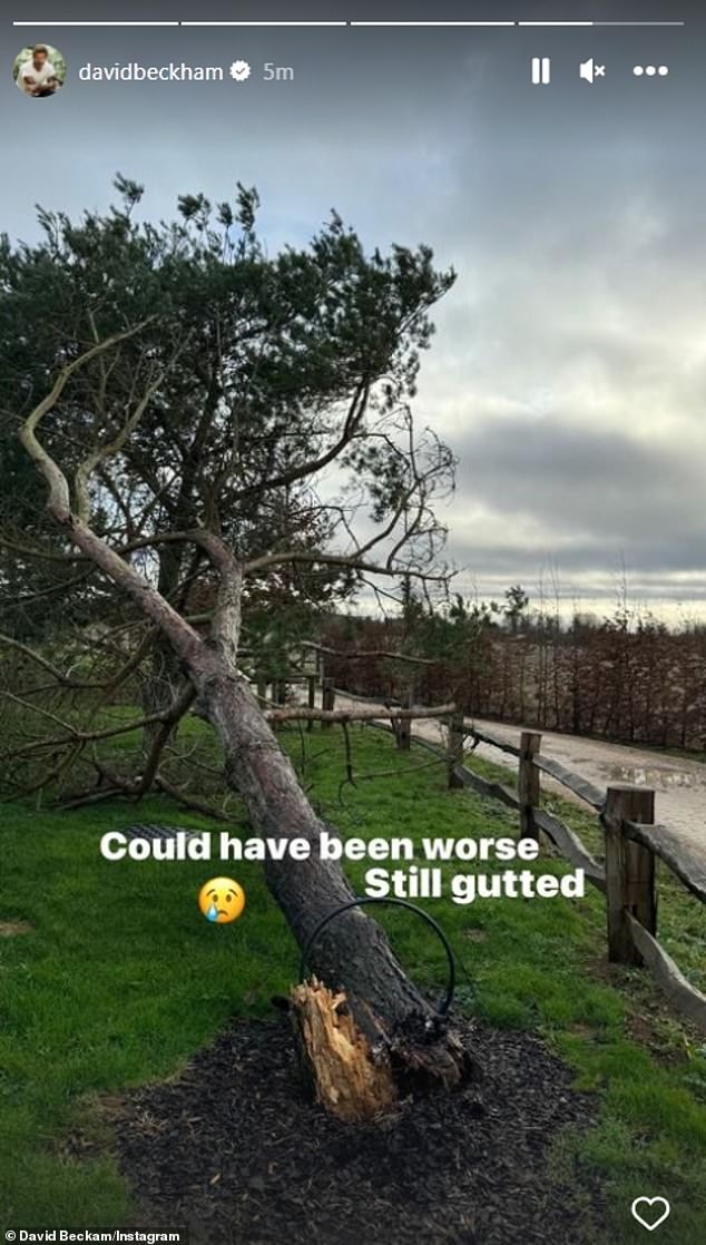 The former footballer, 48, uploaded a photo of a large tree ripped from the ground by the wind at his property to his Instagram page