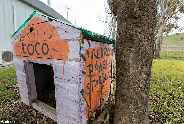 The property's owners spent eight months furnishing the property in a style that followers of the film would appreciate, including a kennel for Kerrigan's 'dog' Coco (pictured)