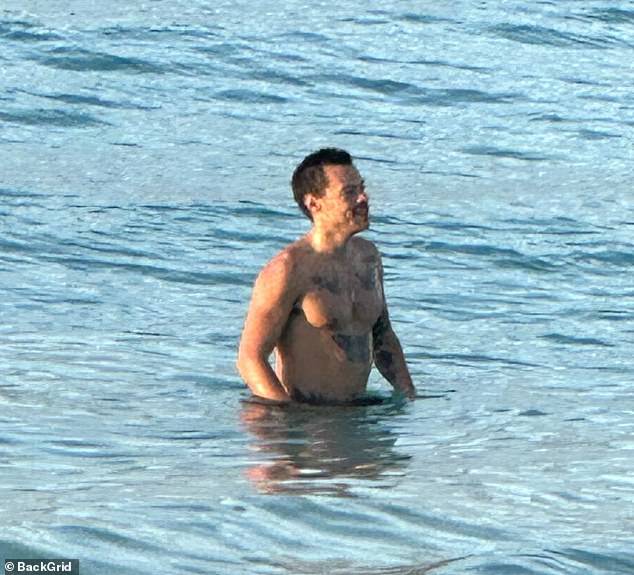 Harry's two swallow and butterfly inks were visible on his toned chest as he enjoyed the refreshing dip