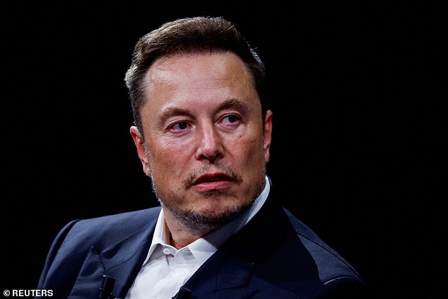 Tech billionaire Elon Musk called DEI 'another word for racism'