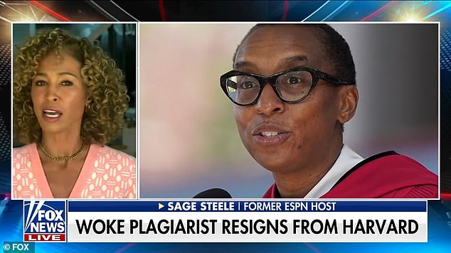 Former ESPN host Sage Steele has condemned activist Al Sharpton for saying former Harvard President Claudine Gay's resignation was the result of 'an attack on all black women'