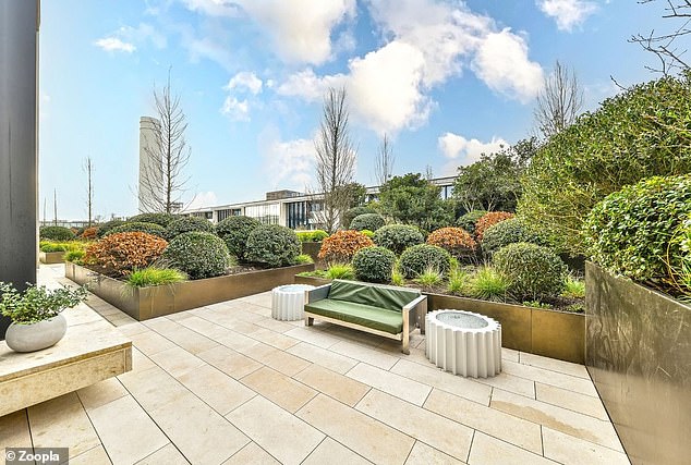 The roof terrace has an array of established plants and trees, surrounding a large patio area