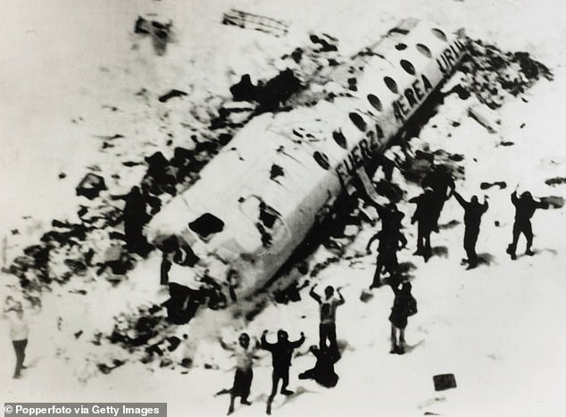 REAL DISASTER: Both wings of the plane were cut off, along with its tail, before it slid off a glacier and crashed into the snow.  Of the 45 passengers, 16 survived