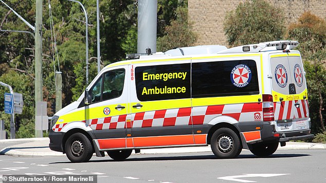 The man could not be resuscitated despite frantic efforts by paramedics (stock image)