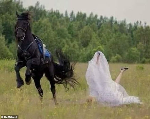 While this Russian bride was probably hoping for a more elegant wedding photo when she rented a horse, but ended up being catapulted off