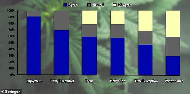 The study included 42 participants who were already running while using cannabis.  Researchers asked everyone why they mixed cannabis with exercise