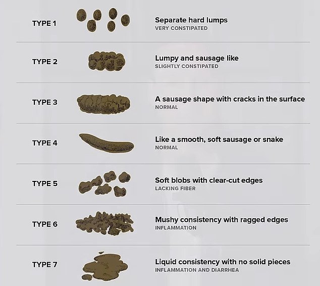 He then shared a diagram of different poop shapes explaining the health problem you may have