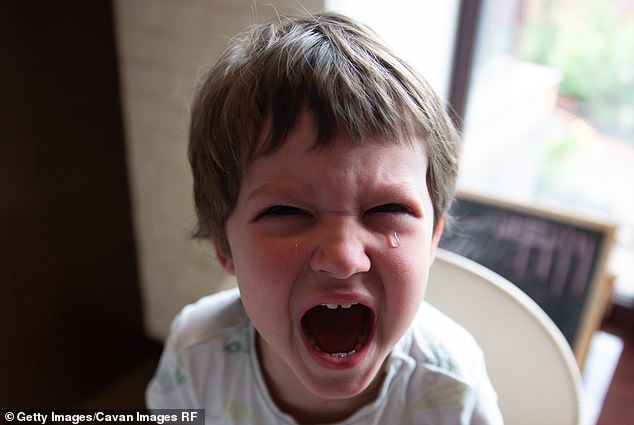 Leo and his mother Charlotte went to the restaurant where he threw bread at a service dog and jumped up and down on a booth for attention (stock image)