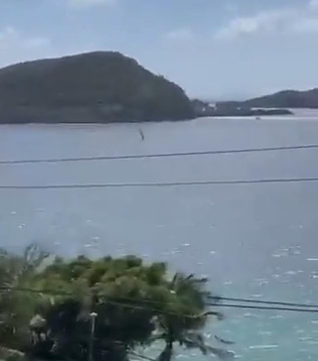 A few seconds into a social media clip circulating online, you see the plane flying towards the water at high speed