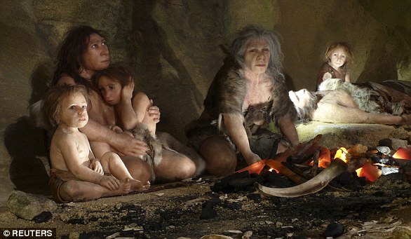 Neanderthals were a cousin of humans, but not a direct ancestor (the two species split from a common ancestor) who became extinct about 50,000 years ago.  The photo shows a Neanderthal museum exhibit