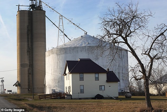 A grain elevator towers over a house in Masonville, Iowa