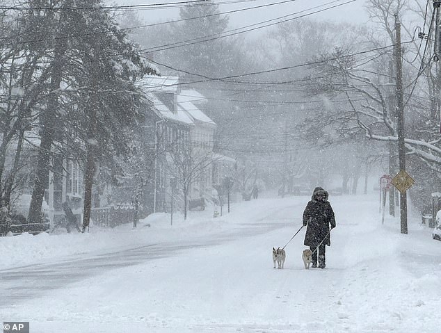 A person walks his dogs through the snow on Sunday in Portsmouth, New Hampshire - an area that has received 12 to 20 inches of snow